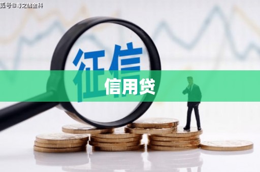 娄星信用贷