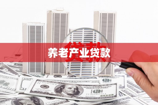 娄星养老产业贷款