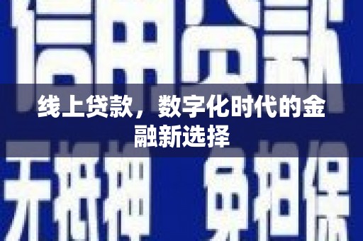 娄星线上贷款，数字化时代的金融新选择