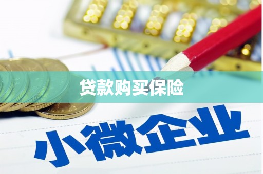 娄星贷款购买保险