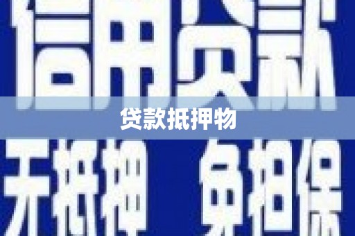 娄星贷款抵押物