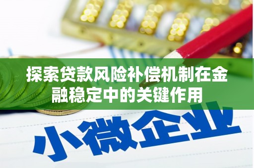 娄星探索贷款风险补偿机制在金融稳定中的关键作用