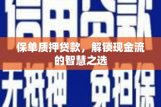 娄星保单质押贷款，解锁现金流的智慧之选