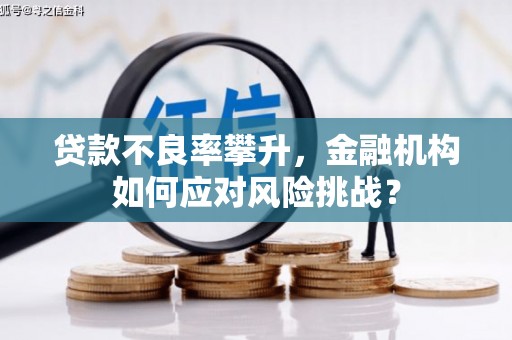 娄星贷款不良率攀升，金融机构如何应对风险挑战？