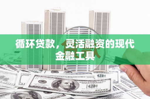 娄星循环贷款，灵活融资的现代金融工具