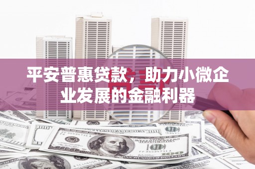 娄星平安普惠贷款，助力小微企业发展的金融利器
