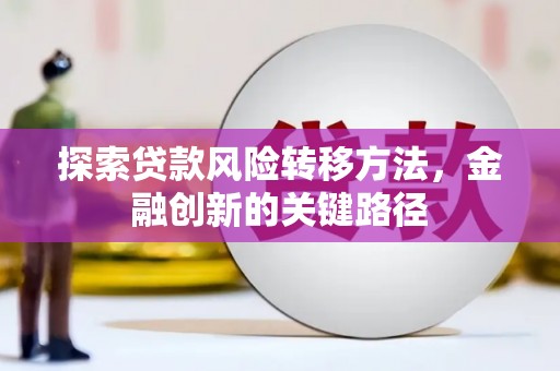 娄星探索贷款风险转移方法，金融创新的关键路径