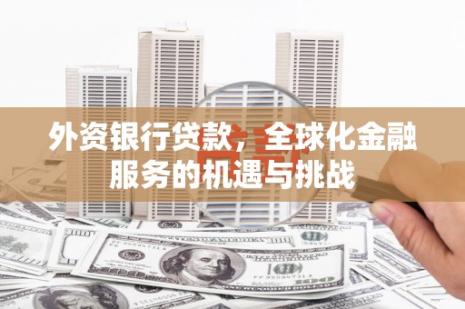 娄星外资银行贷款，全球化金融服务的机遇与挑战