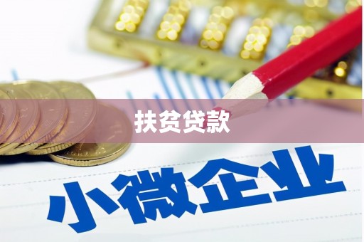 娄星扶贫贷款
