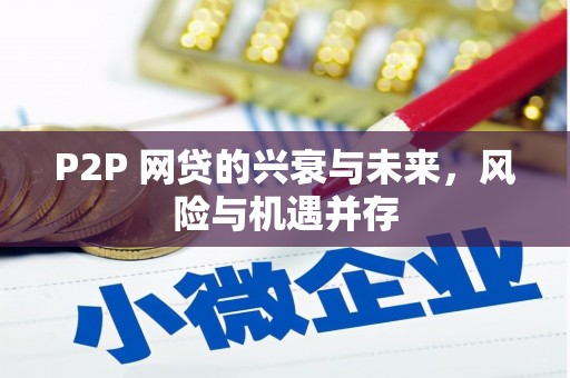 娄星P2P 网贷的兴衰与未来，风险与机遇并存