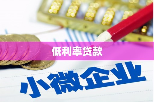 娄星低利率贷款
