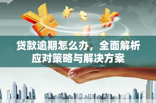 娄星贷款逾期怎么办，全面解析应对策略与解决方案