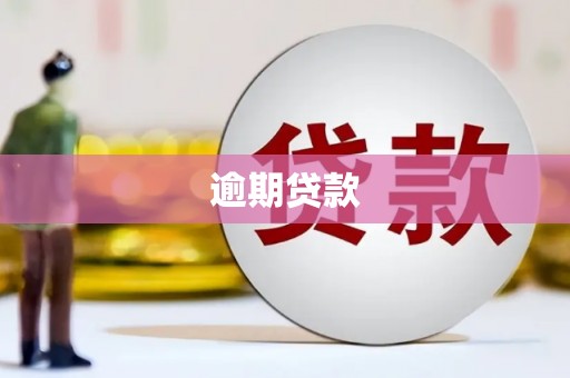 娄星逾期贷款