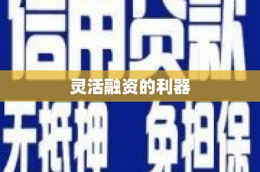 娄星灵活融资的利器
