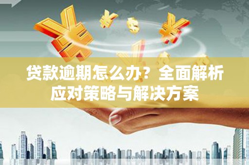 娄星贷款逾期怎么办？全面解析应对策略与解决方案