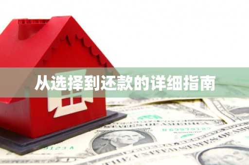 娄星从选择到还款的详细指南