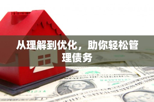 娄星从理解到优化，助你轻松管理债务