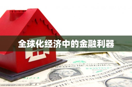 娄星全球化经济中的金融利器