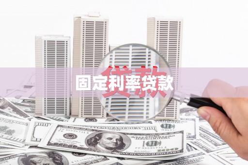 娄星固定利率贷款