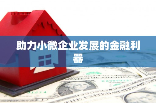 娄星助力小微企业发展的金融利器
