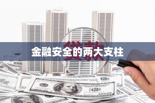 娄星金融安全的两大支柱