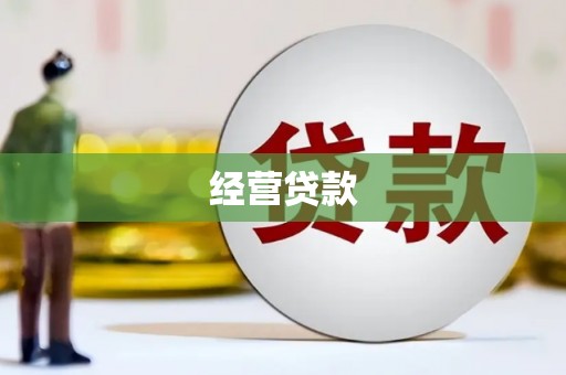 娄星经营贷款