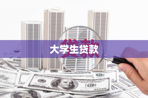 娄星大学生贷款