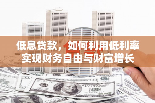 娄星低息贷款，如何利用低利率实现财务自由与财富增长
