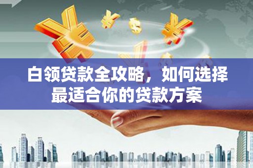 娄星白领贷款全攻略，如何选择最适合你的贷款方案